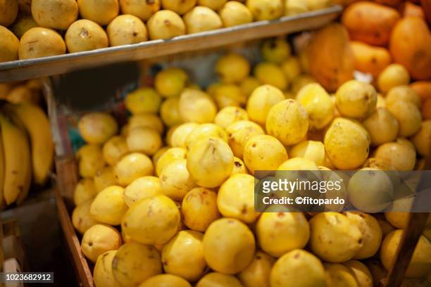 mexican guava - guava fruit stock-fotos und bilder