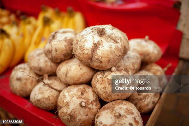 jicama fruit - jicama stock pictures, royalty-free photos & images