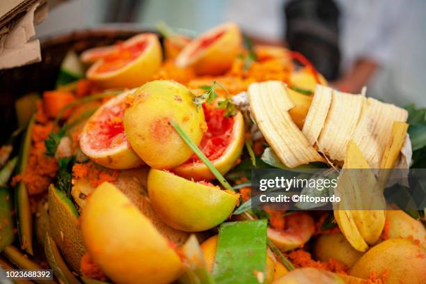 Verskillende Rotte 42,949 Rotten Images Stock Photos, High-Res Pictures, and Images ...
