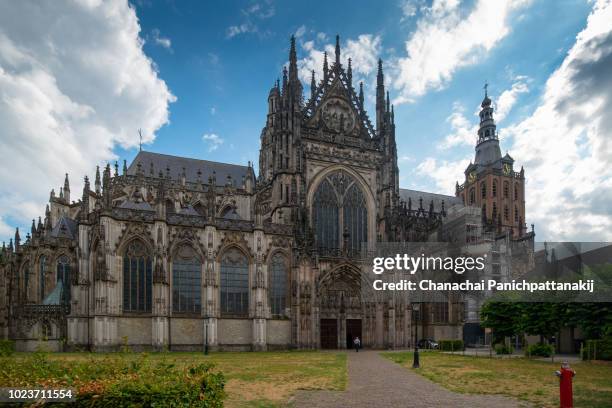 north entrance of sint-janskathedraal in 's-hertogenbosch, netherlands - スヘルトーヘンボス ストックフォトと画像