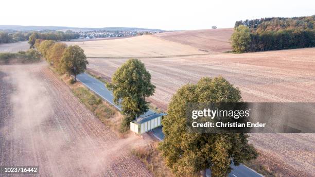 maize harvest in germany at sunset - maize weevil stock pictures, royalty-free photos & images