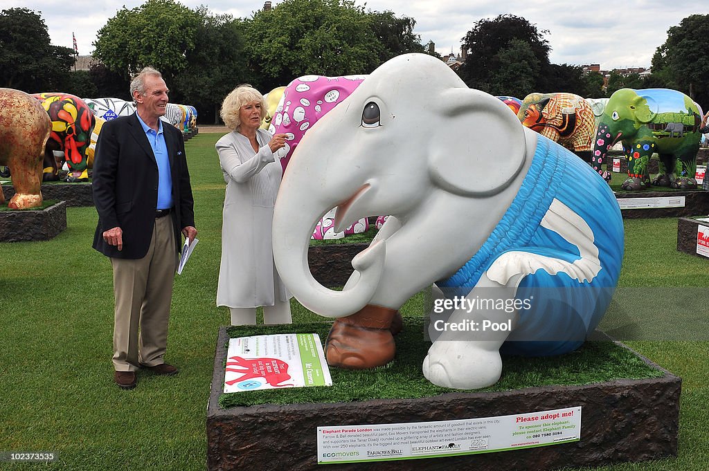 The Elephant Parade Exhibition