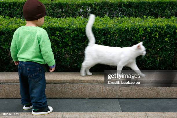 Child and white cat