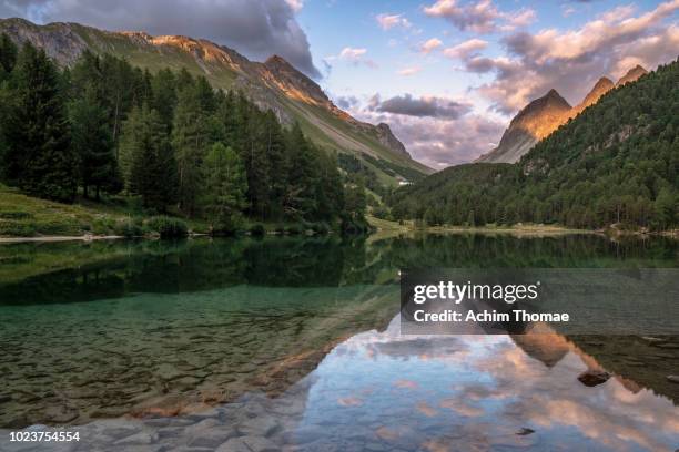 lei de palpuogna, albula pass, canton of graubuenden, switzerland - graubunden canton ストックフォトと画像