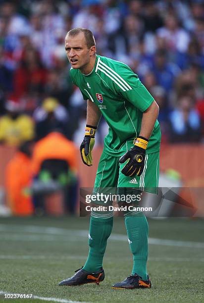 Jan Mucha of Slovakia looks on during the 2010 FIFA World Cup South Africa Group F match between Slovakia and Italy at Ellis Park Stadium on June 24,...