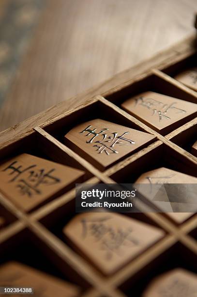 Does anyone know what kind of shogi set this is? My dad brought