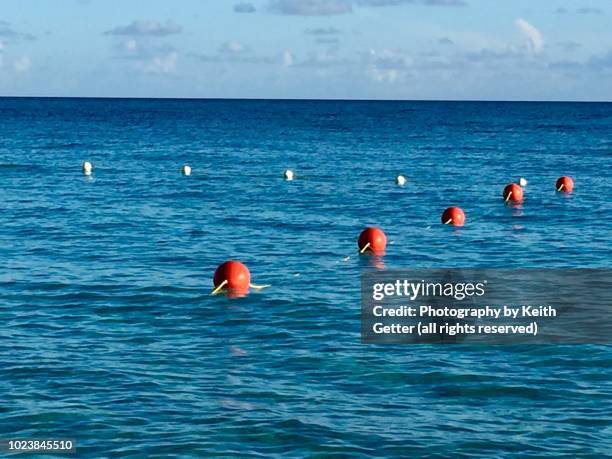 swim area buoys floating on blue colored ocean water under a light blue sky - buoy stock pictures, royalty-free photos & images