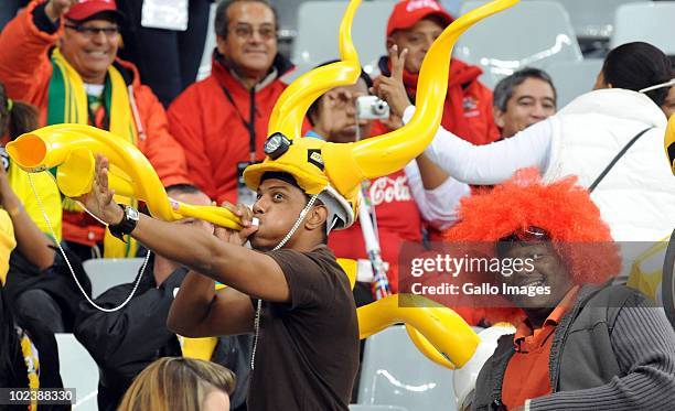 Supporters look on during the 2010 FIFA World Cup South Africa Group E match between Cameroon and Netherlands at Cape Town Stadium on June 21, 2010...