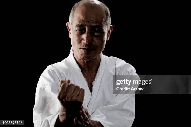 senior japanese man practicing karate - karate imagens e fotografias de stock