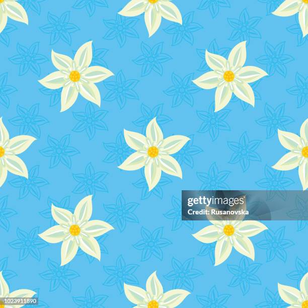 edelweiss seamless pattern - edelweiss stock illustrations