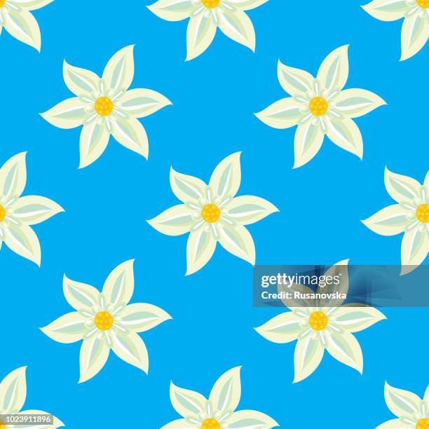 edelweiss seamless pattern - edelweiss flower stock illustrations