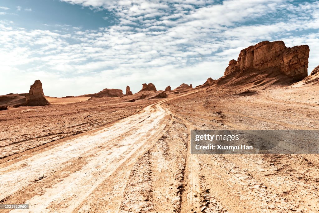 Tyre tracks through the desert