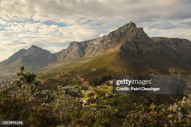 cape town scenics. - table mountain cape town stock-fotos und bilder