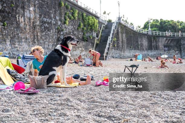 the beach where you can go with your dog in gijon - gijon stock pictures, royalty-free photos & images