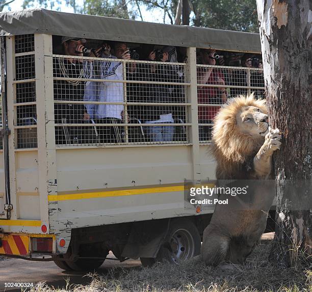 Players of the German National Team take pictures of a lion as they drive with a van through the Lion Park on June 25, 2010 in Lanseria, South Africa.
