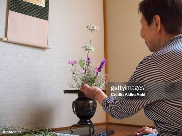 senior woman arranging flowers ( ikebana ) - kakemono japonais photos et images de collection