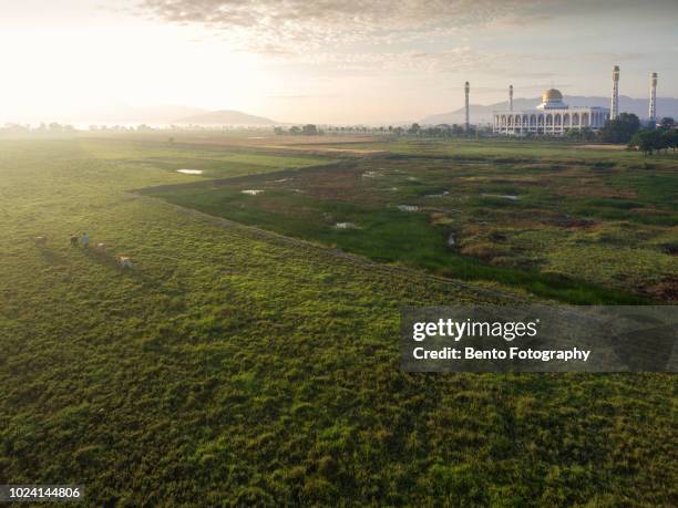 aerial view of central mosque in the morning - songkhla province stock pictures, royalty-free photos & images