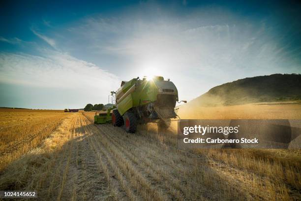 combine harvester perspective from back view - rye grain fotografías e imágenes de stock