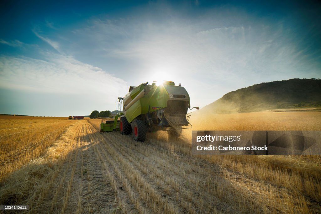 Combine harvester perspective from back view