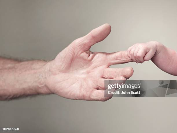 baby holding man's finger, close-up of hands - baby grandpa imagens e fotografias de stock