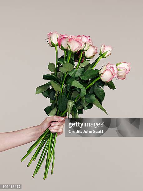 woman holding a bunch of roses - ramo de flores fotografías e imágenes de stock