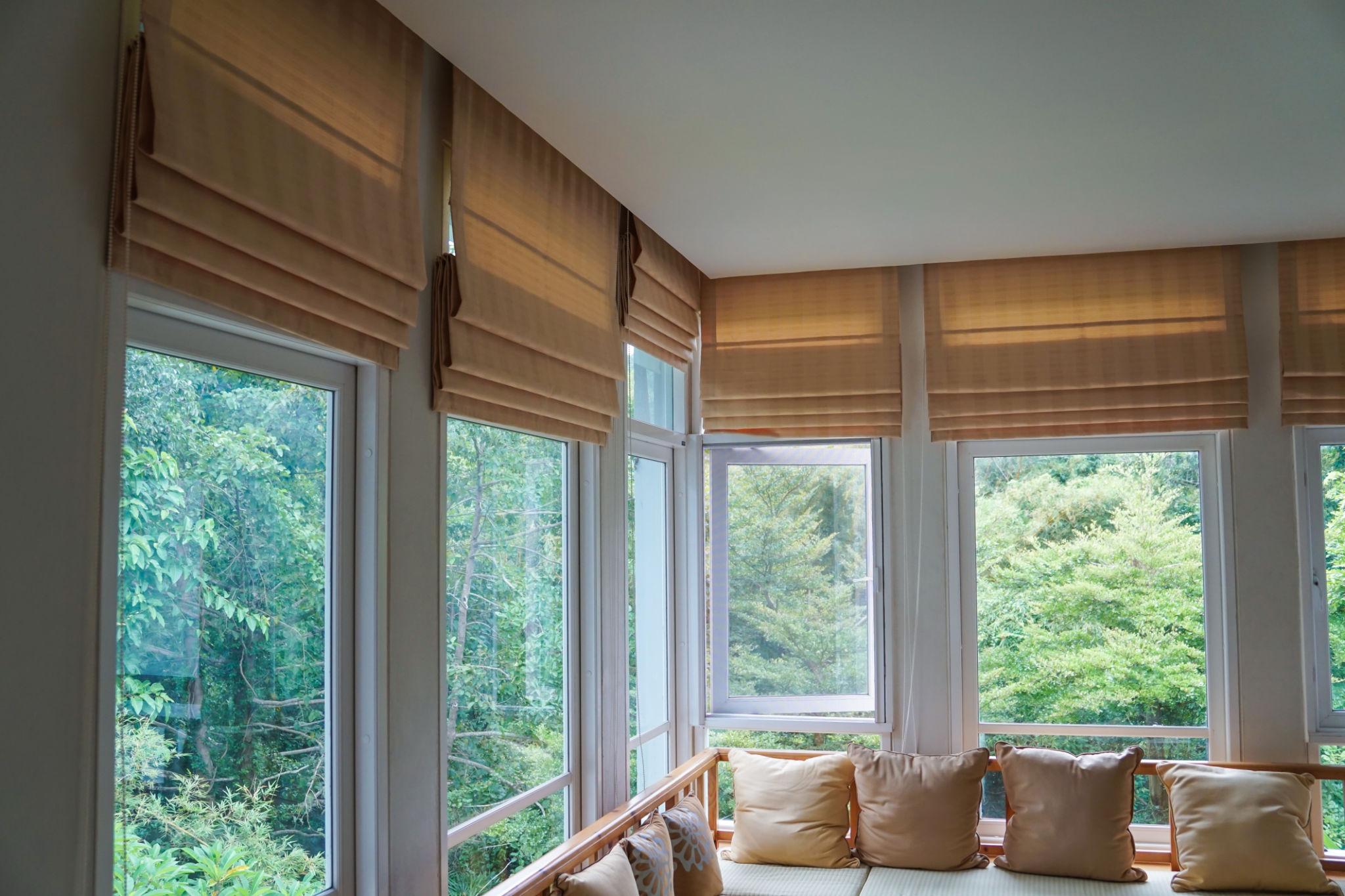blinds shades