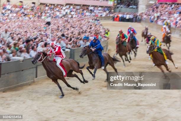 horses competing at "piazza di campo" during the "palio di siena" at siena city, italy. - palio di siena stock pictures, royalty-free photos & images