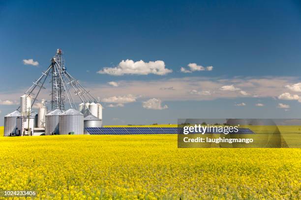 canola graan silo zonnepaneel - alberta farm scene stockfoto's en -beelden