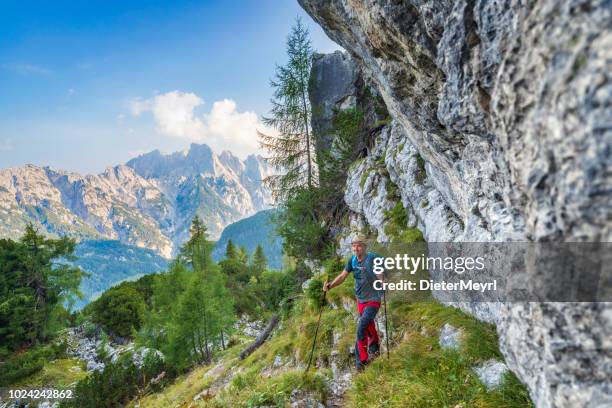 excursionista en gama de la montaña, alpes - nationalpark berchtesgaden - alpes de bavaria fotografías e imágenes de stock