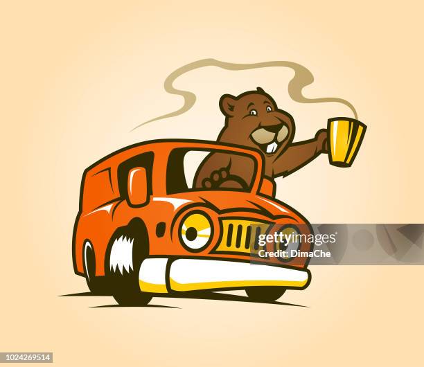 ilustraciones, imágenes clip art, dibujos animados e iconos de stock de personaje de dibujos animados linda marmota con taza de café o té conduce un coche - tuza