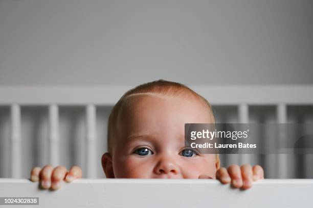 baby in a crib - cot imagens e fotografias de stock
