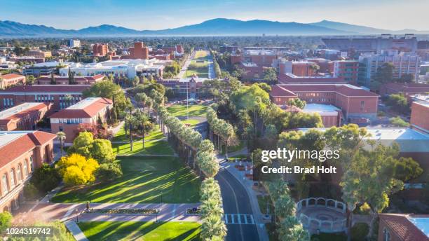 university of arizona - campus stockfoto's en -beelden