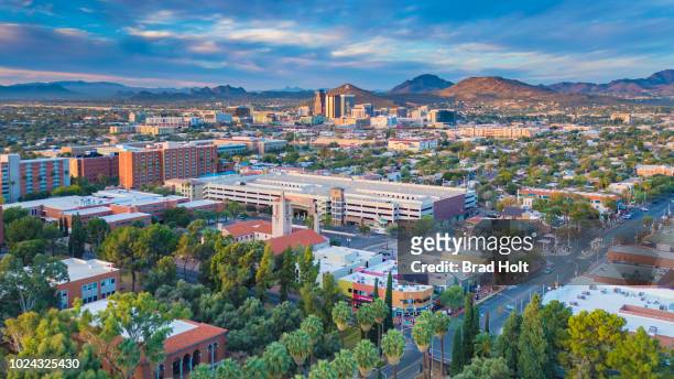 university of arizona - tucson imagens e fotografias de stock