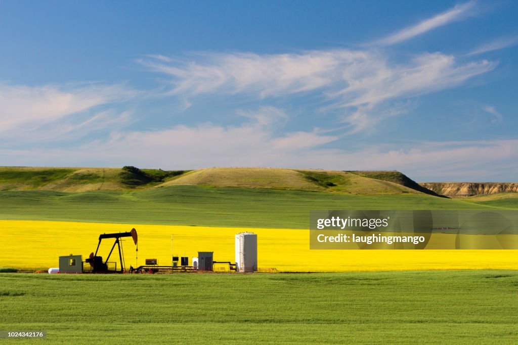 Aceite de petróleo Pumpjack Alberta