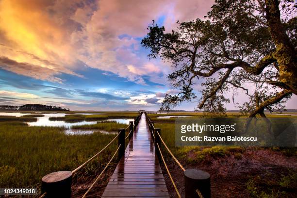marsh boardwalk at sunset, palencia, florida, usa - boardwalk stockfoto's en -beelden