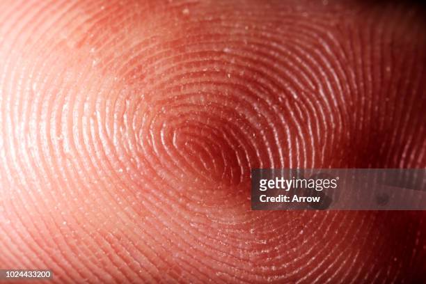 close up marco shots of body parts - fingerprinting stock-fotos und bilder