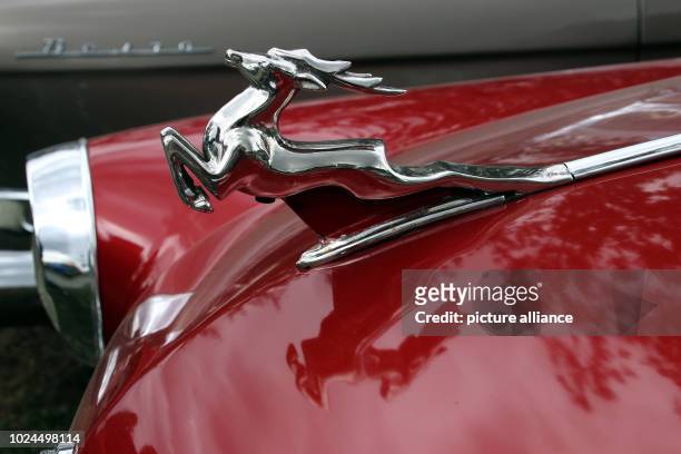 August 2018, Germany, Magdeburg: The jumping stag as a trademark on a Chaika limousine of the Soviet manufacturer "Gorkowski Awtomobilny Sawod" At...