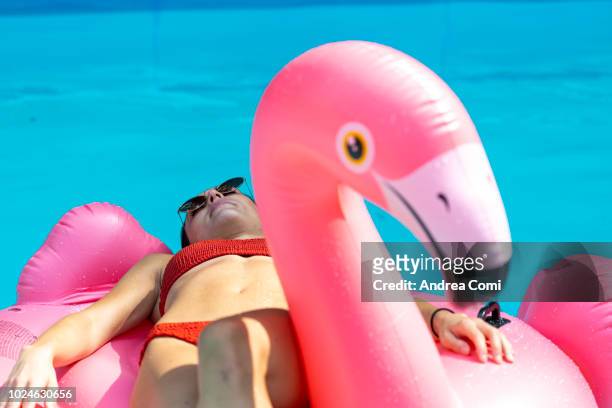 happy young woman with pink flamingo float in swimming pool - acqua stagnante foto e immagini stock