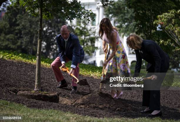 First Lady Tree First Lady Melania Trump Participates In Presidential Tree Planting ...