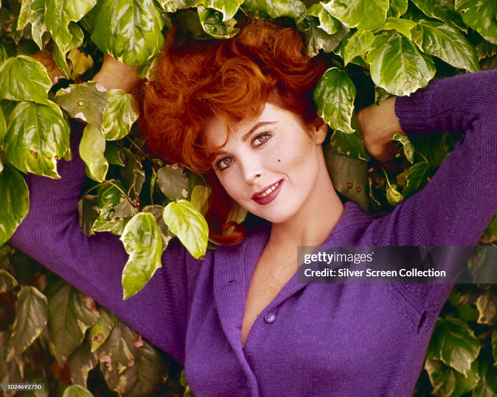American actress Tina Louise, circa 1965. News Photo - Getty Images