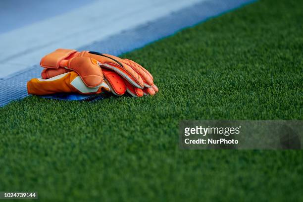 Goalkeeper gloves on the pitch during the La Liga match between Levante and Celta de Vigo at Ciutat de Valencia on August 27, 2018 in Valencia, Spain