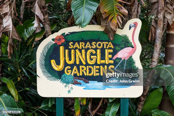 Sarasota Jungle Gardens.