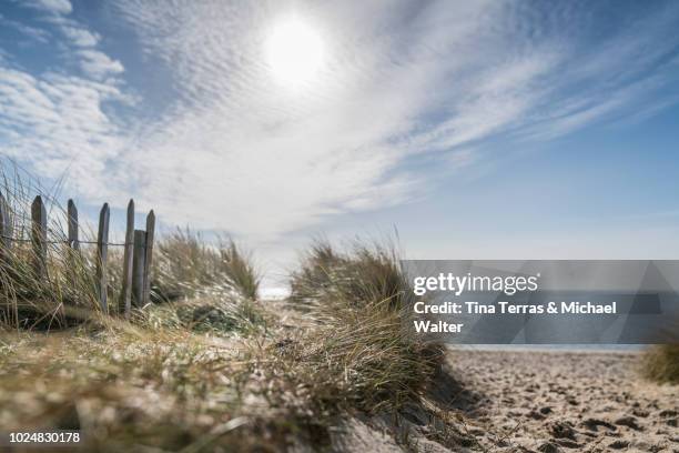 beach path on the island of sylt. - região marítima do norte da alemanha imagens e fotografias de stock