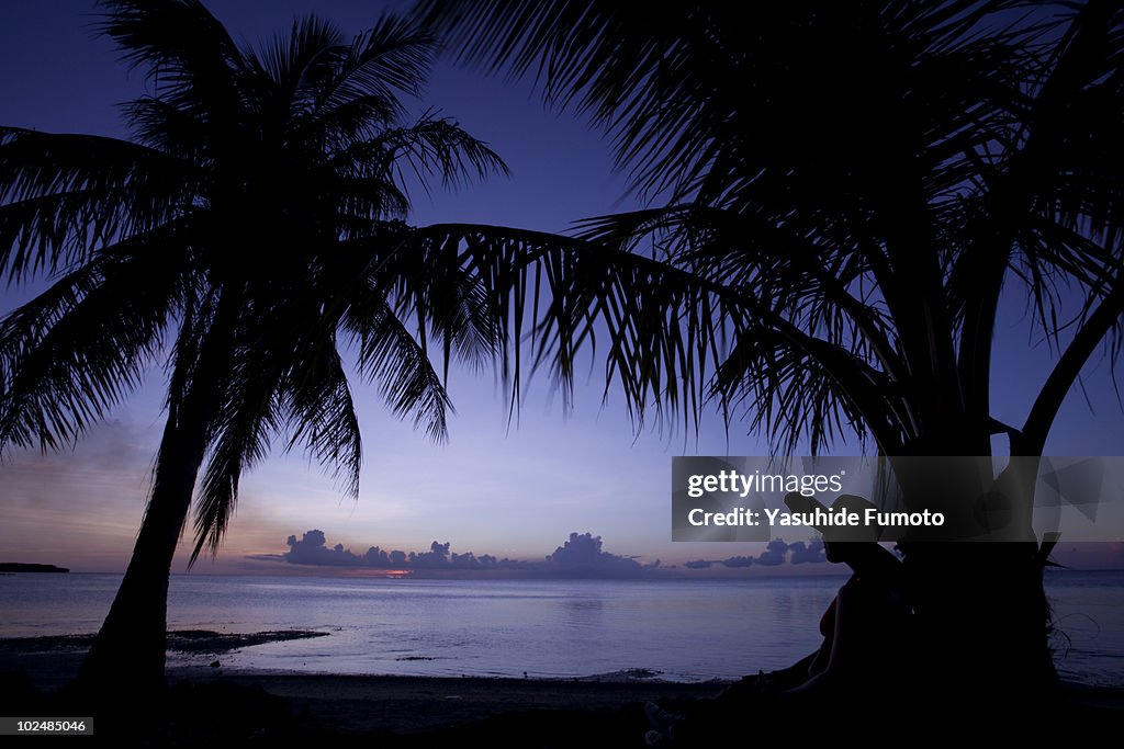 Sunset, plam tree and woman.