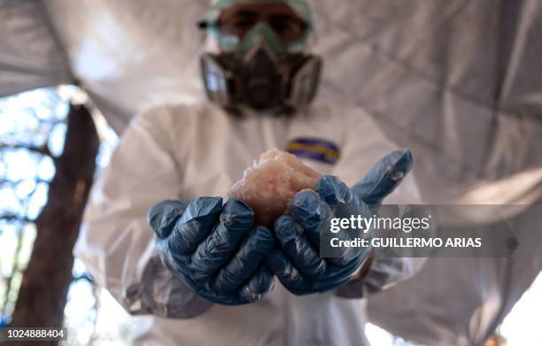 Mexican Army expert shows crystal meth paste at a clandestine laboratory near la Rumorosa town in Tecate, Baja California state, Mexico on August 28,...