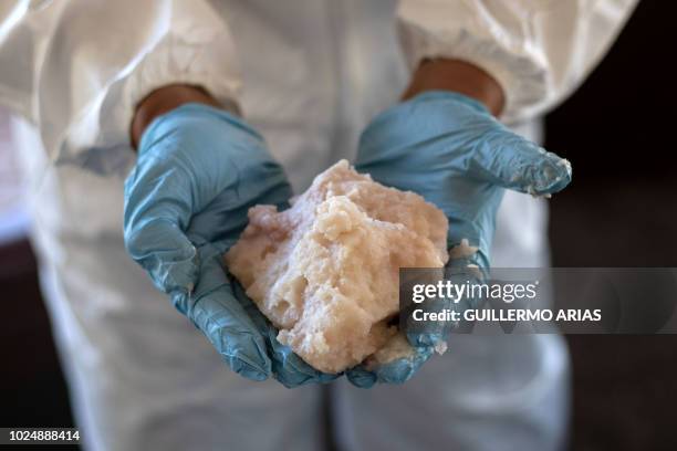 Mexican Army expert shows crystal meth paste at a clandestine laboratory near la Rumorosa town in Tecate, Baja California state, Mexico on August 28,...