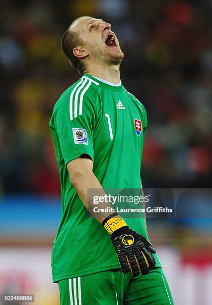 Jan Mucha of Slovakia reacts during the 2010 FIFA World Cup South Africa Round of Sixteen match between Netherlands and Slovakia at Durban Stadium on...