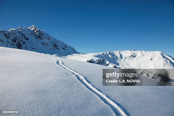 snowboard track in fresh snow - neve farinosa foto e immagini stock