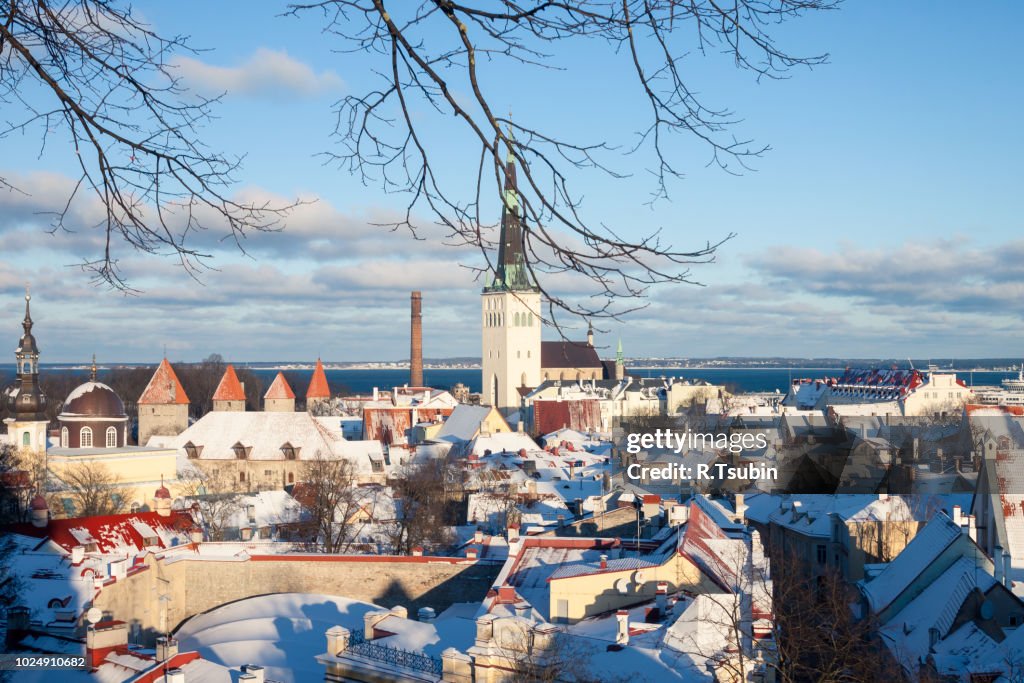 Estland Tallinn City Panoramic Winter Landscape Estonia High-Res Stock Photo ...