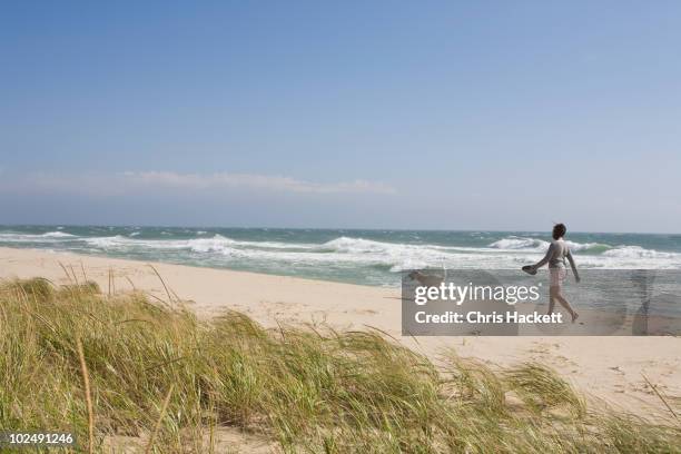 walking dog on the beach - nantucket stock pictures, royalty-free photos & images